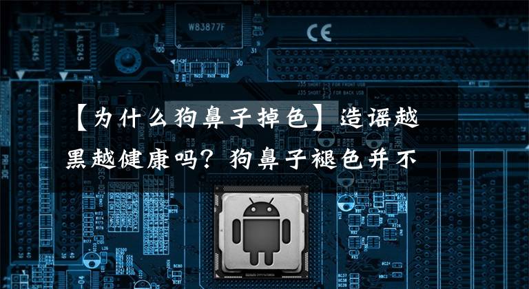 【为什么狗鼻子掉色】造谣越黑越健康吗？狗鼻子褪色并不意味着会生病或受照明等因素的影响。