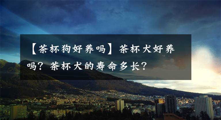 【茶杯狗好养吗】茶杯犬好养吗？茶杯犬的寿命多长？