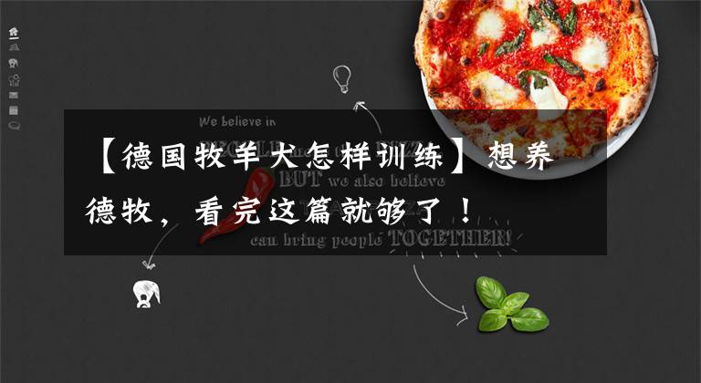 【德国牧羊犬怎样训练】想养德牧，看完这篇就够了！