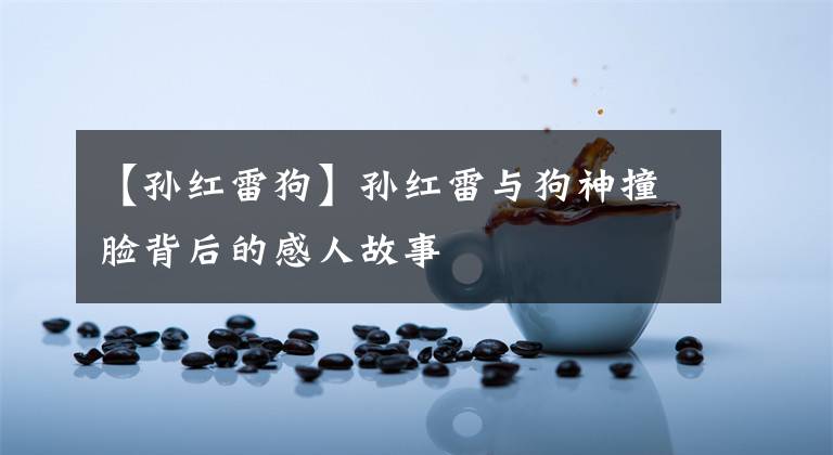 【孙红雷狗】孙红雷与狗神撞脸背后的感人故事