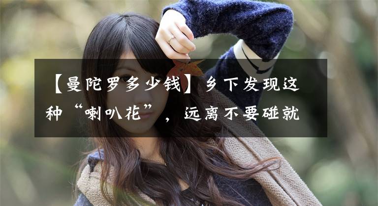 【曼陀罗多少钱】乡下发现这种“喇叭花”，远离不要碰就对了，原名叫曼陀罗有毒