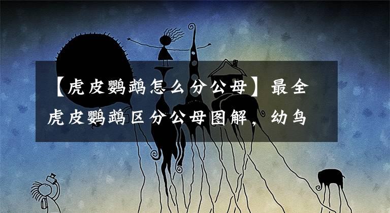 【虎皮鹦鹉怎么分公母】最全虎皮鹦鹉区分公母图解，幼鸟成鸟一看便知，收藏，买鸟不求人