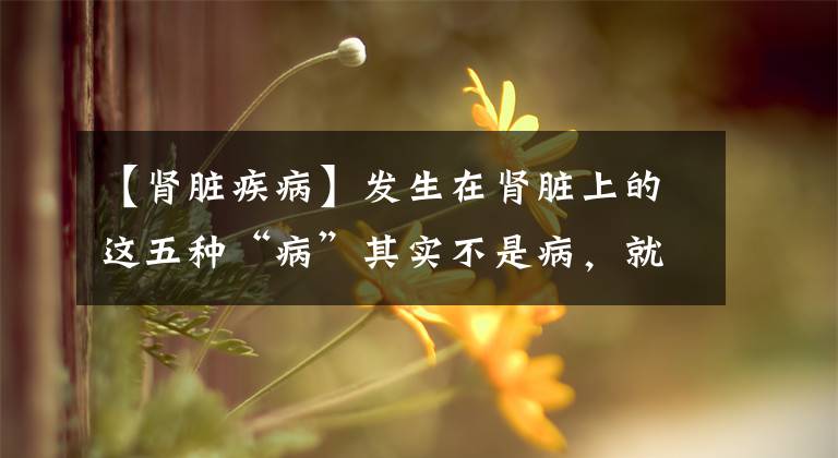 【肾脏疾病】发生在肾脏上的这五种“病”其实不是病，就是人老了