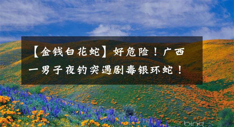 【金钱白花蛇】好危险！广西一男子夜钓突遇剧毒银环蛇！毒性是眼镜王蛇的10倍