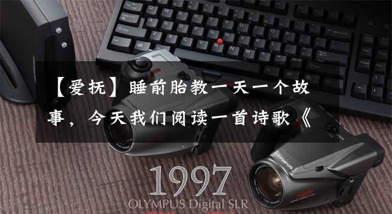 【爱抚】睡前胎教一天一个故事,今天我们阅读一首诗歌《爱抚》