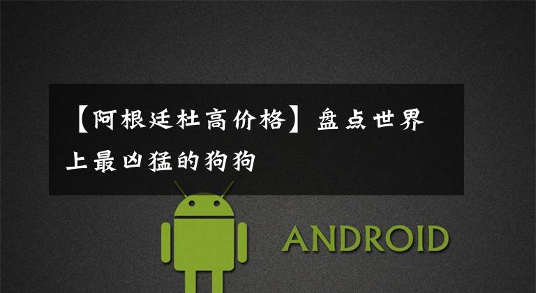 【阿根廷杜高价格】盘点世界上最凶猛的狗狗