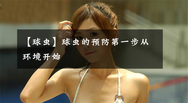 【球虫】球虫的预防第一步从环境开始