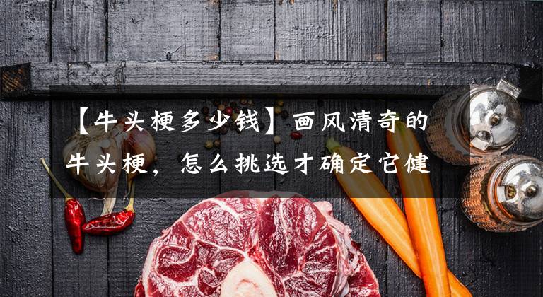 【牛头梗多少钱】画风清奇的牛头梗，怎么挑选才确定它健康纯正呢？