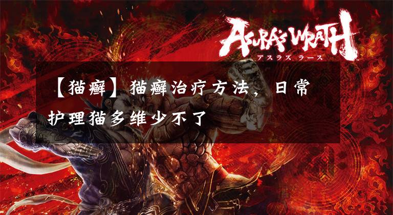 【猫癣】猫癣治疗方法，日常护理猫多维少不了