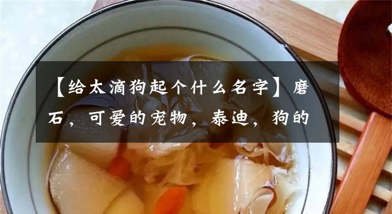 【给太滴狗起个什么名字】磨石，可爱的宠物，泰迪，狗的名字，小粘人-可爱的一点。