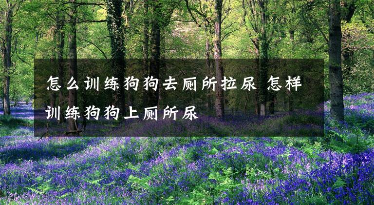 怎么训练狗狗去厕所拉尿 怎样训练狗狗上厕所尿