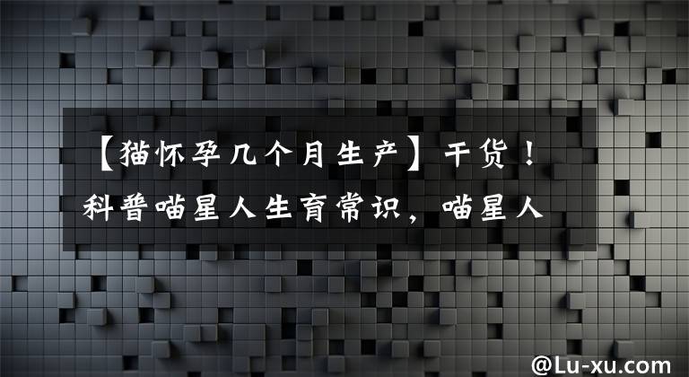 【猫怀孕几个月生产】干货！科普喵星人生育常识，喵星人一年能生几窝？