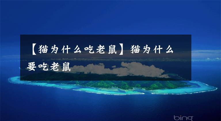 【猫为什么吃老鼠】猫为什么要吃老鼠