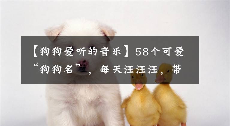【狗狗爱听的音乐】58个可爱“狗狗名”，每天汪汪汪，带给主人欢乐