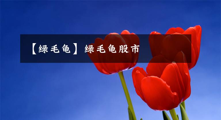 【绿毛龟】绿毛龟股市