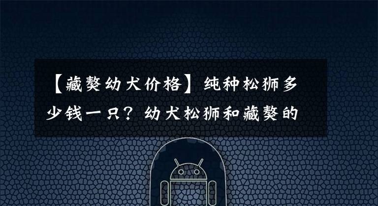 【藏獒幼犬价格】纯种松狮多少钱一只？幼犬松狮和藏獒的区别？