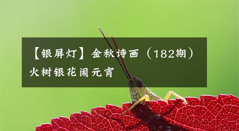 【银屏灯】金秋诗画（182期）火树银花闹元宵