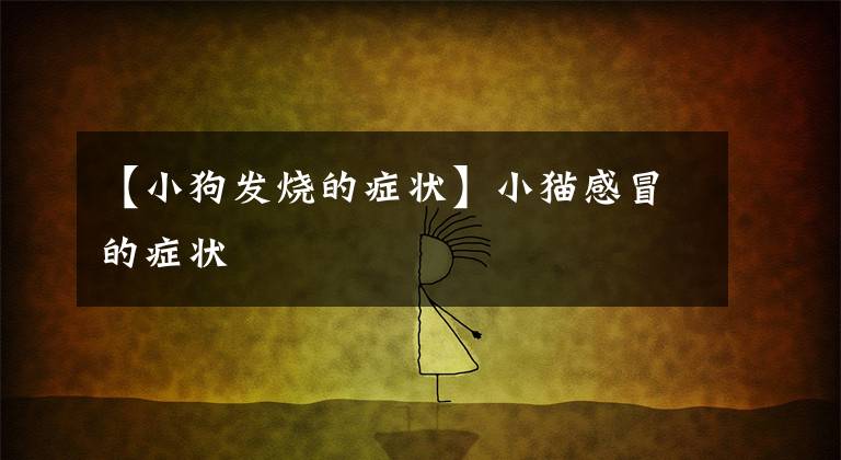 【小狗发烧的症状】小猫感冒的症状