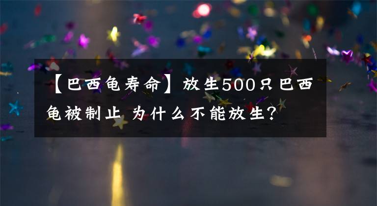 【巴西龟寿命】放生500只巴西龟被制止 为什么不能放生？