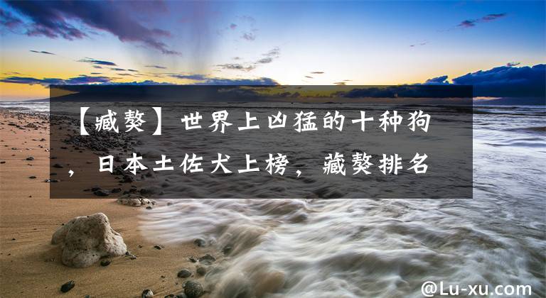 【臧獒】世界上凶猛的十种狗，日本土佐犬上榜，藏獒排名第二