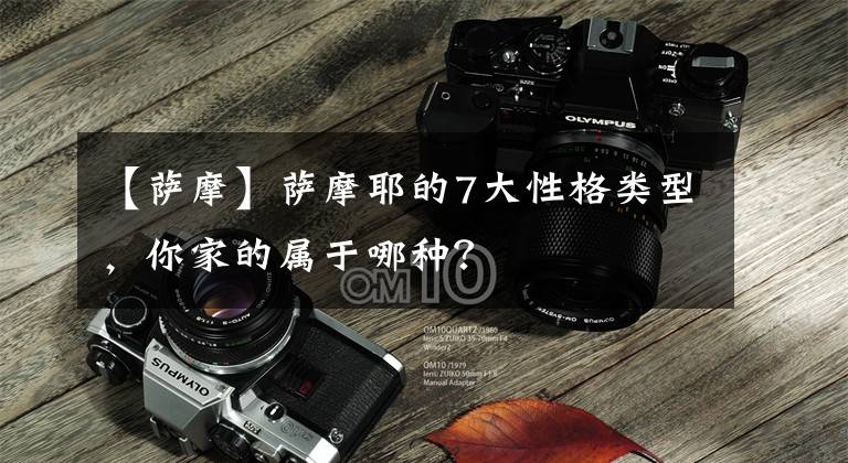 【萨摩】萨摩耶的7大性格类型,你家的属于哪种?