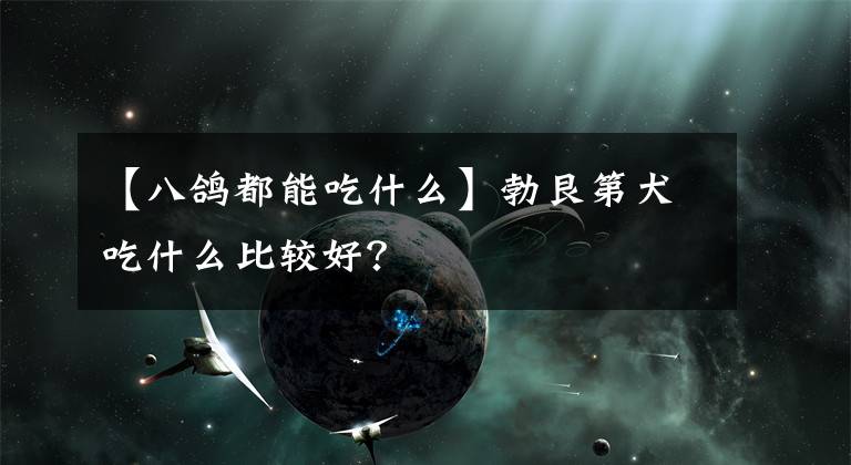 【八鸽都能吃什么】勃艮第犬吃什么比较好?