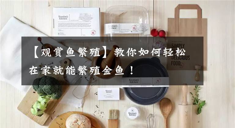 【观赏鱼繁殖】教你如何轻松在家就能繁殖金鱼！