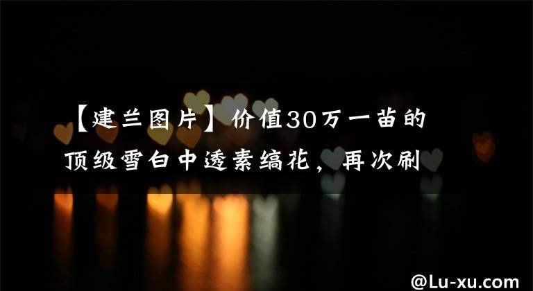 【建兰图片】价值30万一苗的顶级雪白中透素缟花，再次刷新建兰成交新纪录