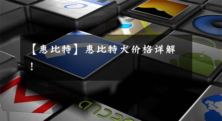 【惠比特】惠比特犬价格详解!