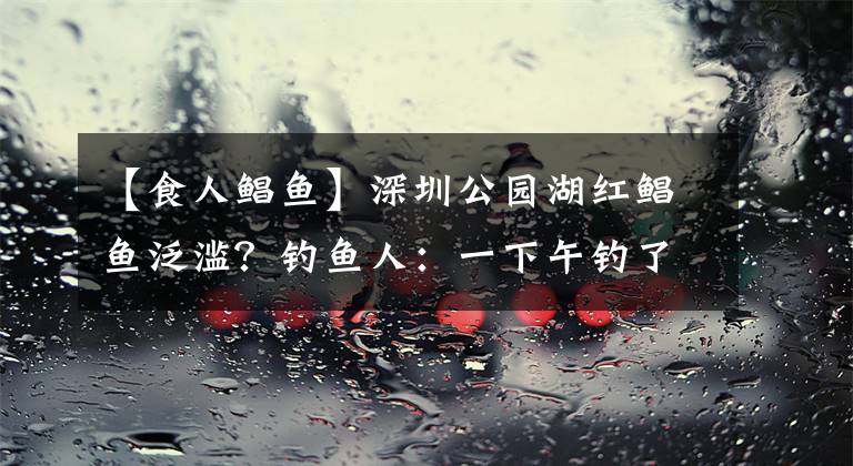 【食人鲳鱼】深圳公园湖红鲳鱼泛滥?钓鱼人:一下午钓了十几条