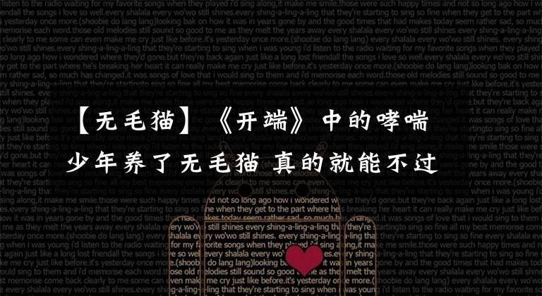 【无毛猫】《开端》中的哮喘少年养了无毛猫 真的就能不过敏吗？