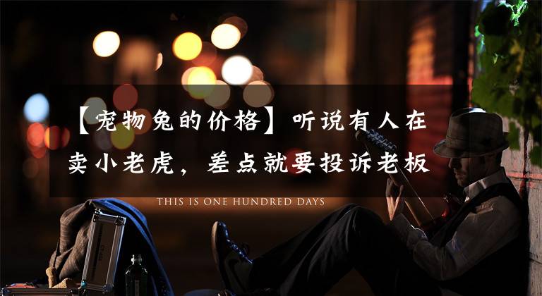 【宠物兔的价格】听说有人在卖小老虎，差点就要投诉老板了