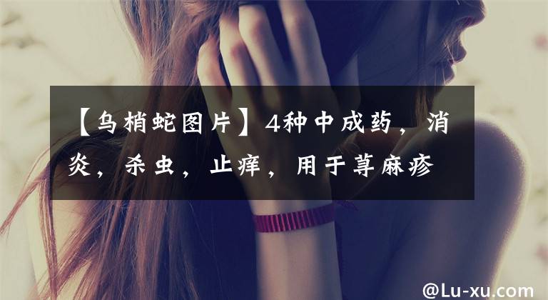 【乌梢蛇图片】4种中成药，消炎，杀虫，止痒，用于荨麻疹、湿疹、皮肤瘙痒