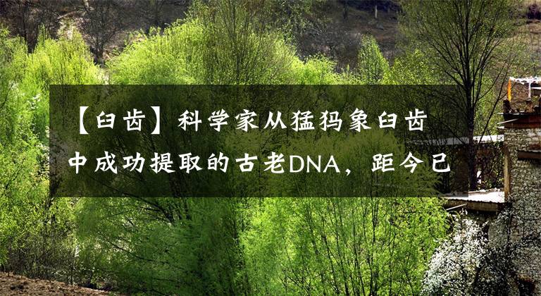 【臼齿】科学家从猛犸象臼齿中成功提取的古老DNA，距今已有上百万年