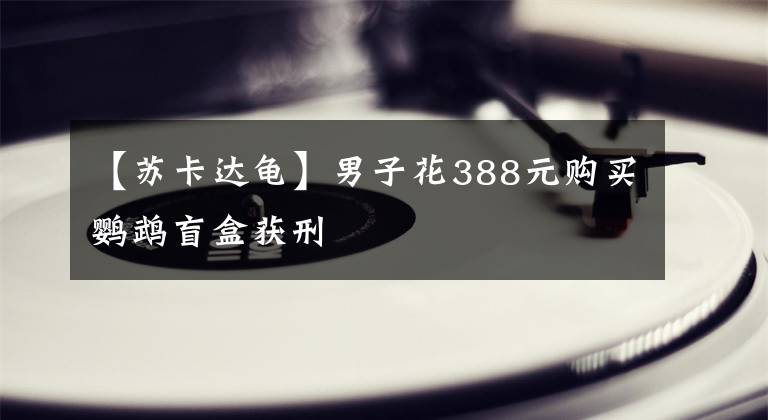 【苏卡达龟】男子花388元购买鹦鹉盲盒获刑