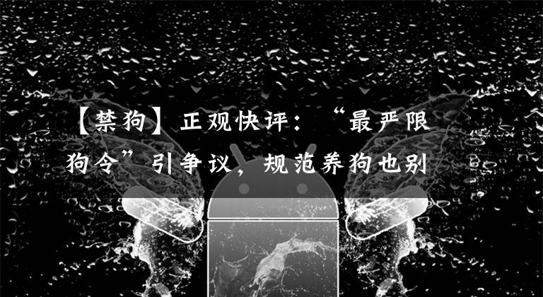 【禁狗】正观快评:“最严限狗令”引争议,规范养狗也别过了头