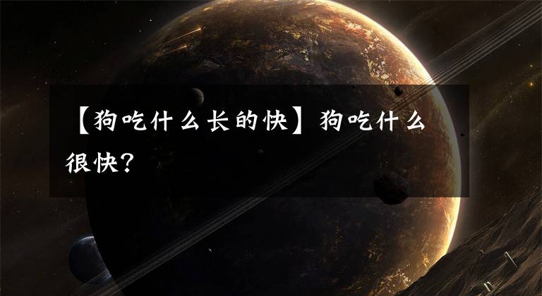 【狗吃什么长的快】狗吃什么很快?