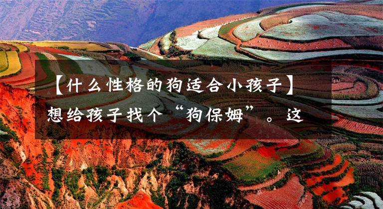 【什么性格的狗适合小孩子】想给孩子找个“狗保姆”。这10种温和的狗可以成为孩子的伴侣
