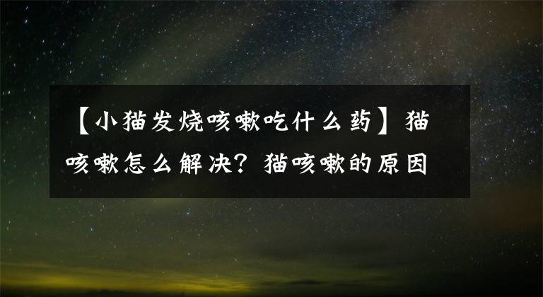 【小猫发烧咳嗽吃什么药】猫咳嗽怎么解决?猫咳嗽的原因是什么?