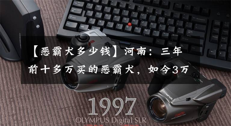 【恶霸犬多少钱】河南：三年前十多万买的恶霸犬，如今3万卖不掉，网友：300差不多