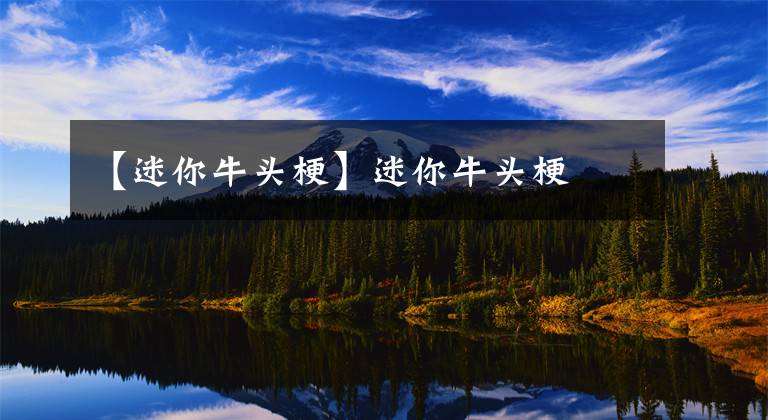 【迷你牛头梗】迷你牛头梗