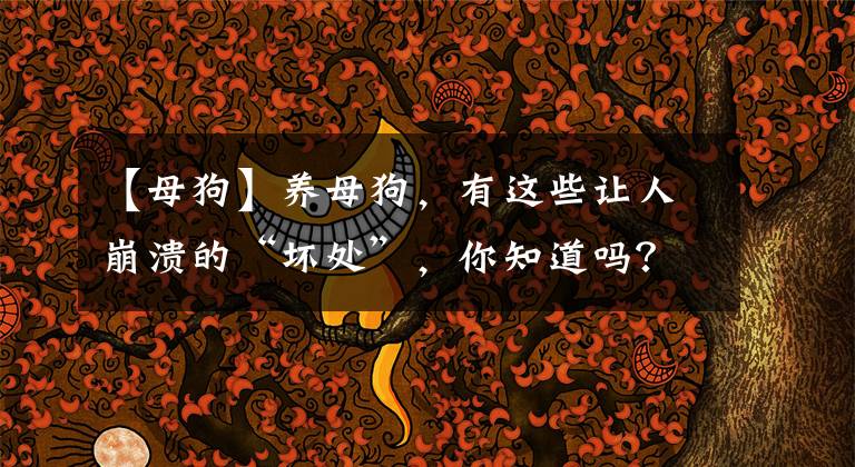 【母狗】养母狗，有这些让人崩溃的“坏处”，你知道吗？
