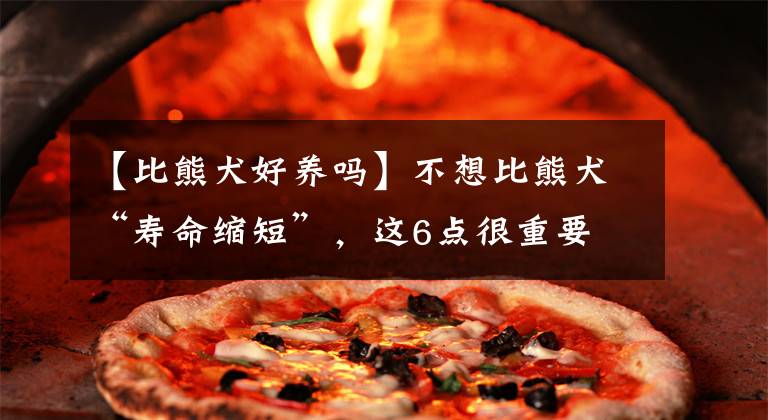 【比熊犬好养吗】不想比熊犬“寿命缩短”，这6点很重要