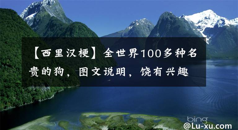 【西里汉梗】全世界100多种名贵的狗，图文说明，饶有兴趣