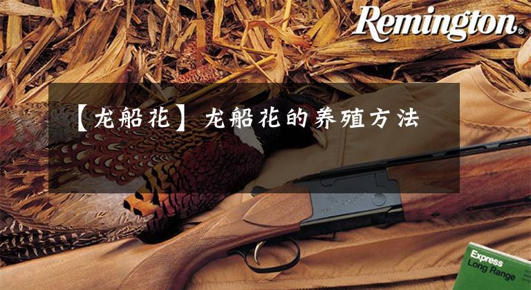 【龙船花】龙船花的养殖方法