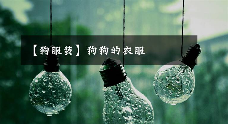 【狗服装】狗狗的衣服