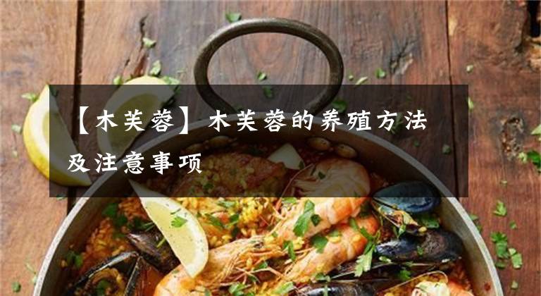 【木芙蓉】木芙蓉的养殖方法及注意事项