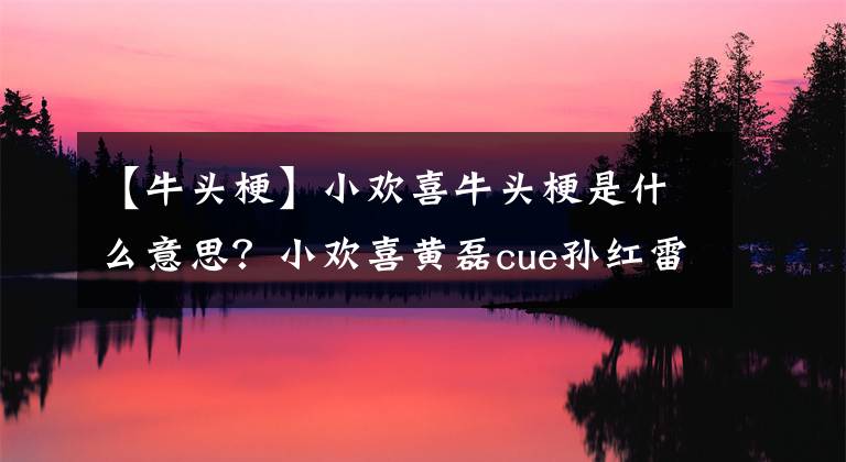 【牛头梗】小欢喜牛头梗是什么意思？小欢喜黄磊cue孙红雷是哪一集的