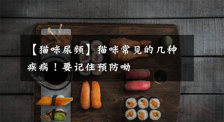 【猫咪尿频】猫咪常见的几种疾病!要记住预防呦