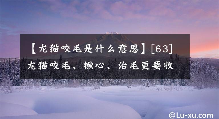 【龙猫咬毛是什么意思】[63]龙猫咬毛、揪心、治毛更要收心。